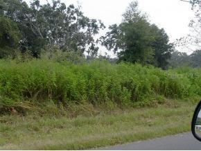 SE 63 Ave., Belleview, FL 34420