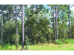 Bahia Trc, Ocala, FL 34472