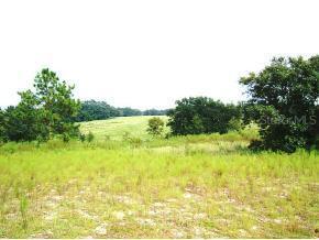 NE 40 St., Williston, FL 32696