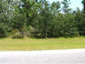 SW 28 Terr Rd., Ocala, FL 34473