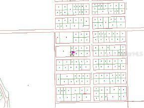 SW 81 St., Ocala, FL 34481