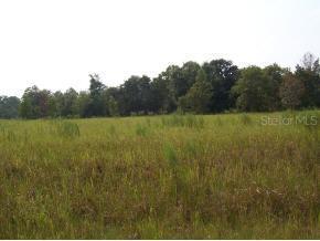 000 Locust Pass Dr., Ocala, FL 34472