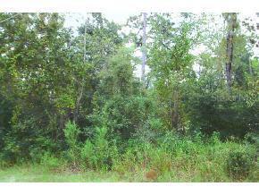 SW 157 Ln., Dunnellon, FL 34432