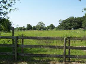 16822 SE 95 St Rd., Ocklawaha, FL 32179