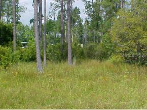 12451 NE 212 St Null Rd., Orange Springs, FL 32182