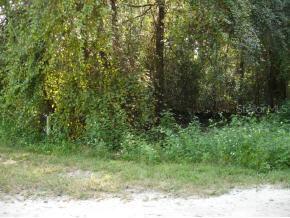 NW 59 Ave., Ocala, FL 34482