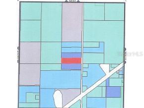 Highway 316, Williston, FL 32696