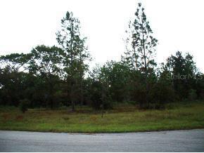 SW 61 Cir., Ocala, FL 34473