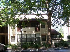 3401 NE Ft King St., Ocala, FL 34470