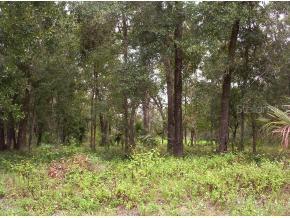 SE 111 Ave., Hawthorne, FL 32640