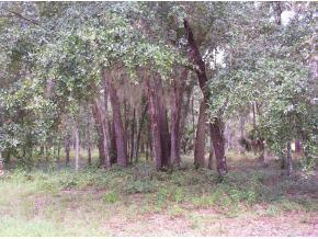SE 111 Ave., Hawthorne, FL 32640