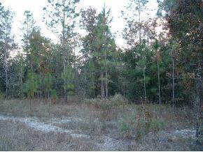 Borus Dr., Williston, FL 32696