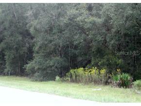 2500 NE 105 Ave., Archer, FL 32618