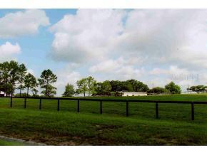 14551 NE 20 St., Williston, FL 32696