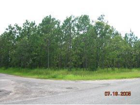 Maple Rn, Ocala, FL 34472