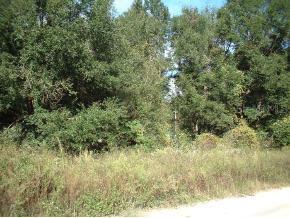 SE 40 Ave., Belleview, FL 34420