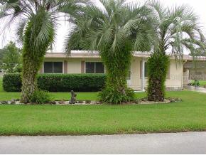 455 NE 63rd Ct., Ocala, FL 34470