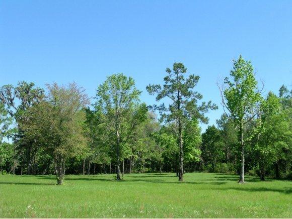 NW 145 St., Williston, FL 32696