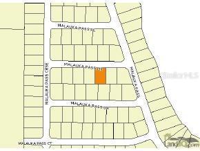 Malauka Ps Ln., Ocklawaha, FL 32179