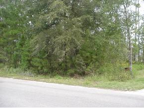 Pecan Dr., Ocala, FL 34472