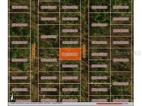 SW 141 Ct., Ocala, FL 34481