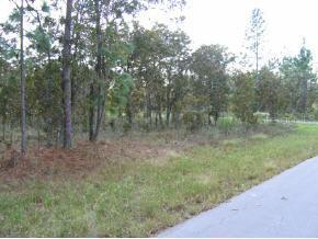 00 NE 9 St., Williston, FL 32696