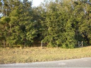 NE 60 St., Williston, FL 32696