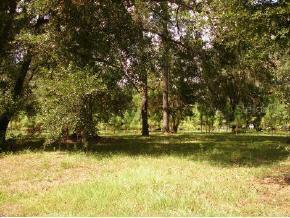 NE 2nd St., Williston, FL 32696