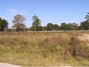SW 20 Pl., Ocala, FL 34481