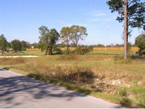 SW 20 Pl., Ocala, FL 34481