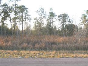 Dogwood Dr., Ocala, FL 34472