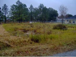 Hemlock Terr Way, Ocala, FL 34472