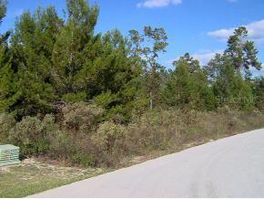 SW 107 Loop, Ocala, FL 34471