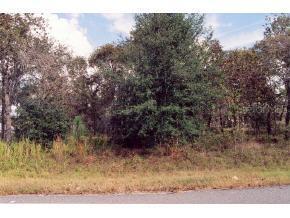 SE Pine Court Dr., Ocala, FL 34472