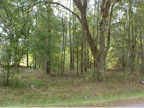 NE 225 Null St., Orange Springs, FL 32182