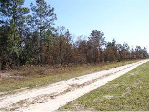 SW 121 Ter., Ocala, FL 34482