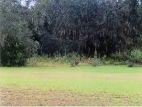 NE 39 Ct., Citra, FL 32113