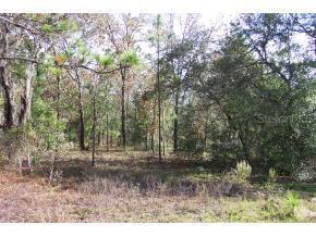 SW 159 Ct., Ocala, FL 34481