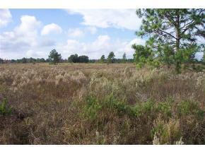 SW 146 Ct., Ocala, FL 34482
