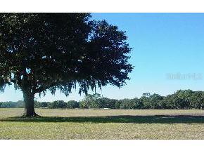 NW 135 Ave., Ocala, FL 34431