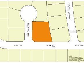Maple Ln Maple Lane Ter., Ocklawaha, FL 32179