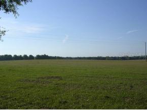 NW 90 Ave., Ocala, FL 34482