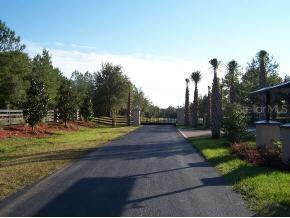NW 145 Ave., Reddick, FL 32686