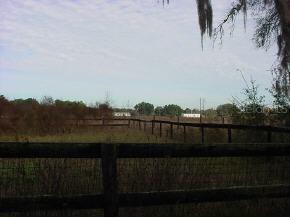 NE 227 Null Pl., Orange Springs, FL 32134