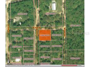 NE 239 Null Ct., Salt Springs, FL 32134