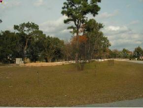 343 Emerald Rd., Ocala, FL 34472