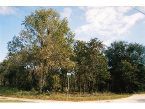 NW 12 St/55 Ave., Ocala, FL 34482