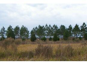 Ash Rd., Ocala, FL 34472