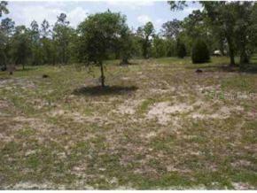 SW 159 Ct., Ocala, FL 34481