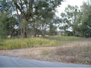 Dogwood Trl Pl., Ocala, FL 34472